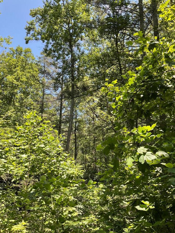 Tallulah Gorge Retreat Lakemont 外观 照片