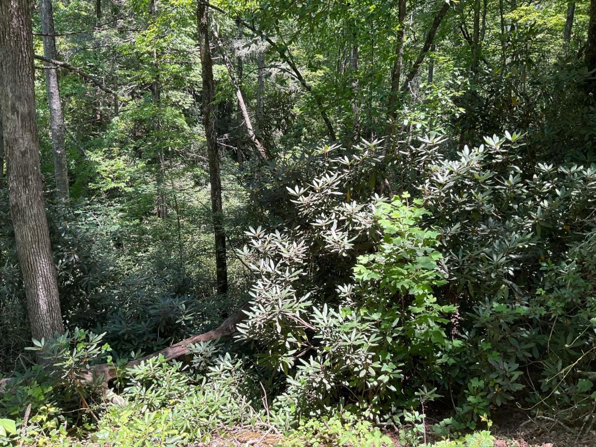 Tallulah Gorge Retreat Lakemont 外观 照片