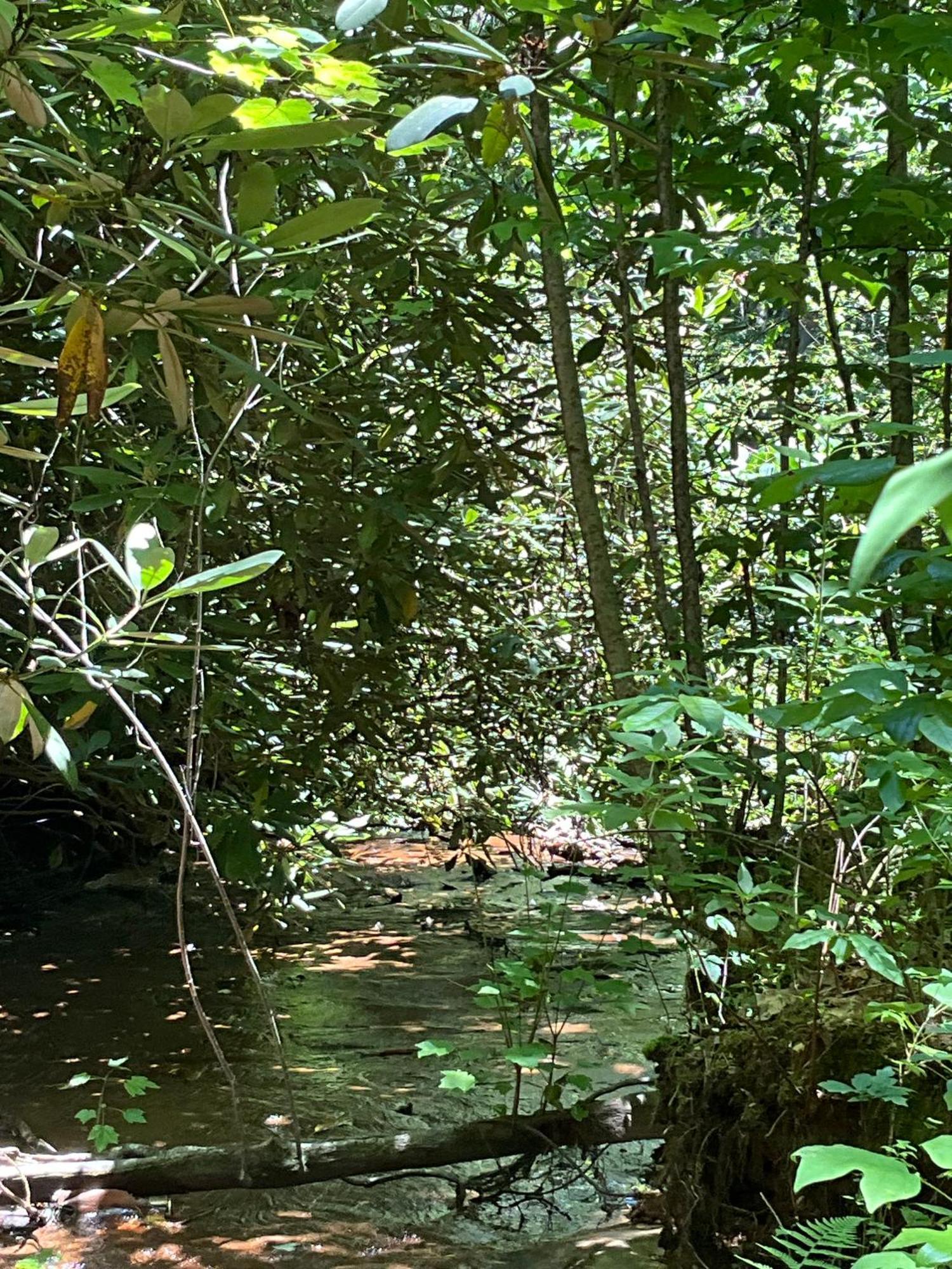 Tallulah Gorge Retreat Lakemont 外观 照片