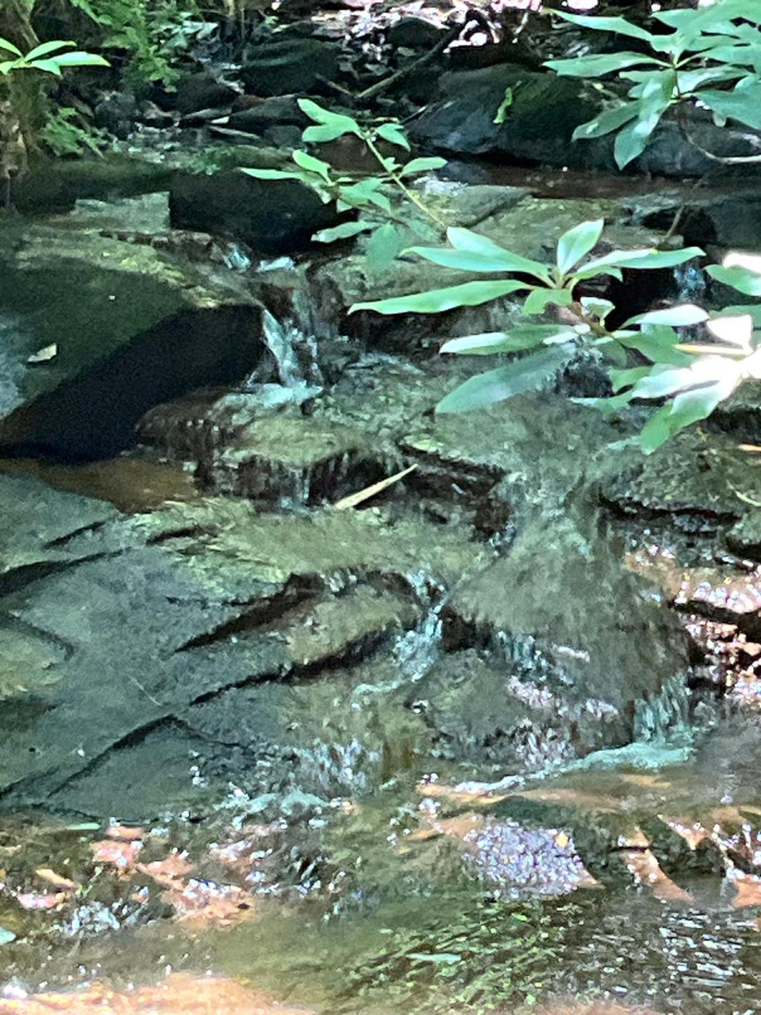 Tallulah Gorge Retreat Lakemont 外观 照片