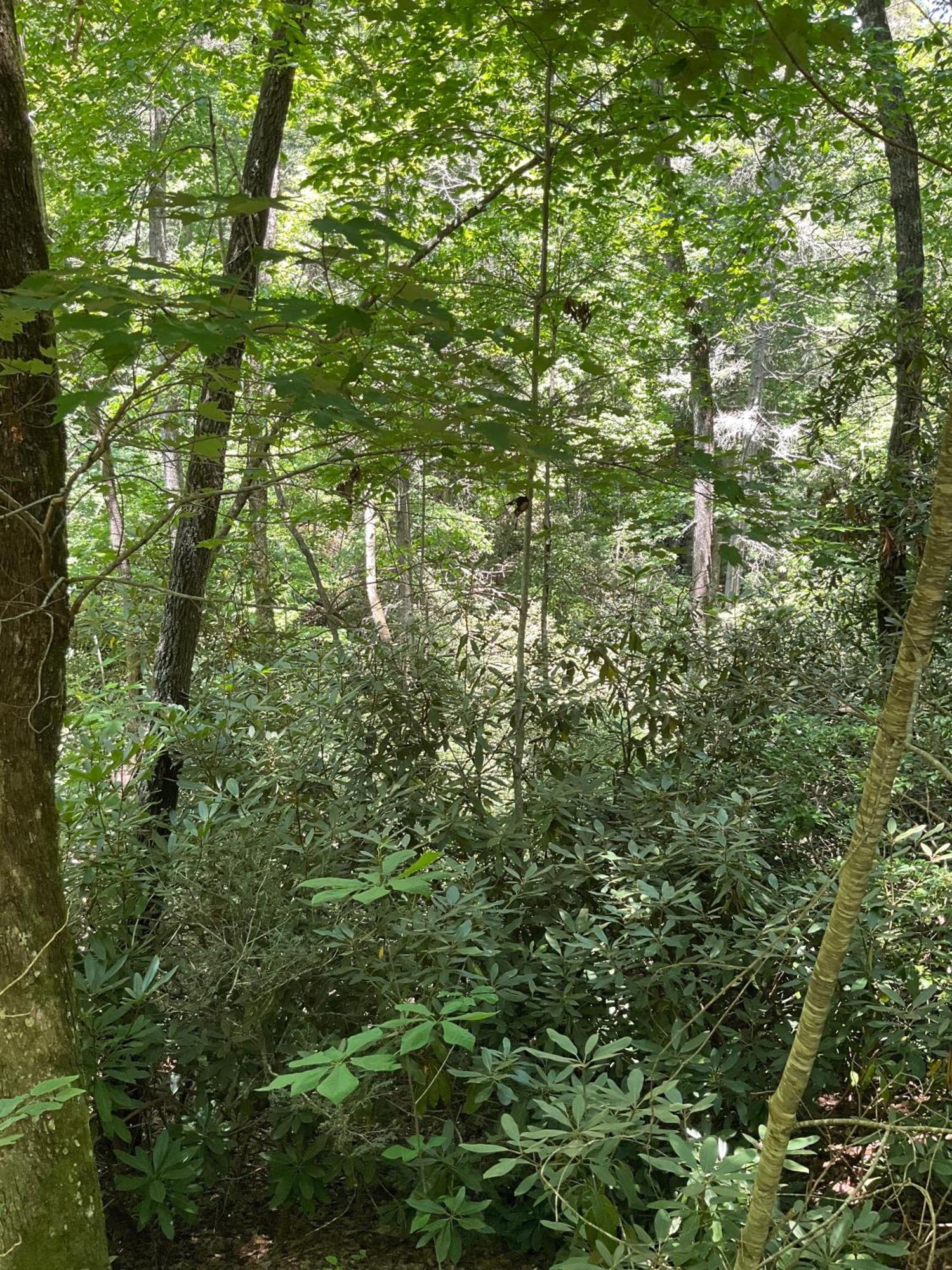 Tallulah Gorge Retreat Lakemont 外观 照片