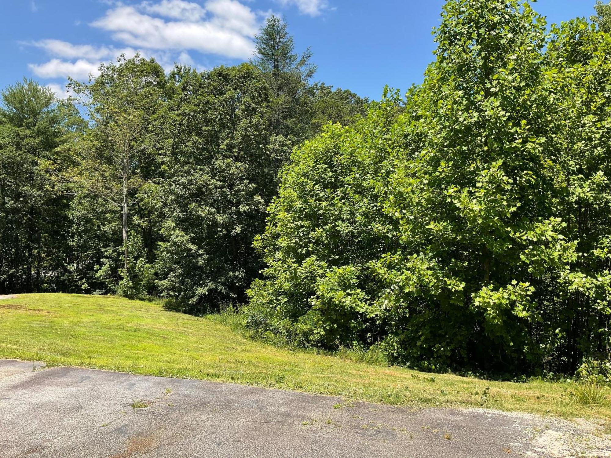 Tallulah Gorge Retreat Lakemont 外观 照片